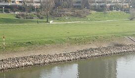 Chancen des Neckarufers besser nutzen!