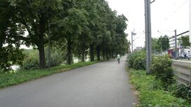 So leer wie hier ist der Weg auf dem Neckardamm nur selten.